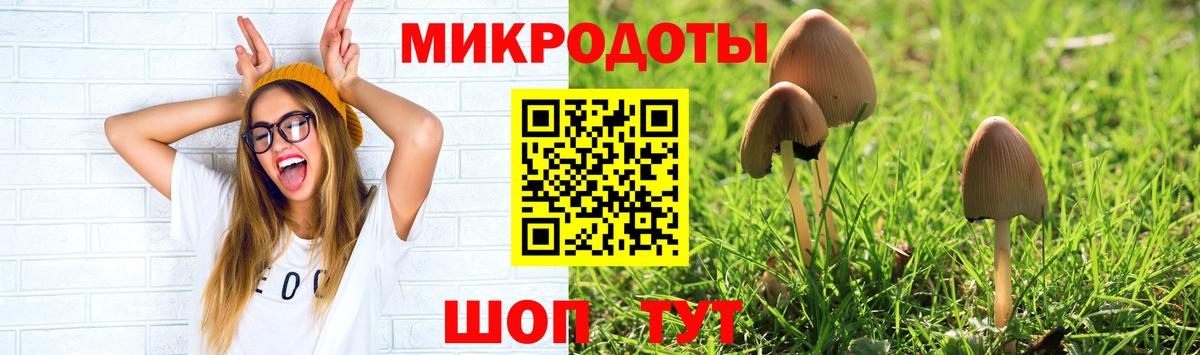 Галлюциногенные грибы прущие грибы Йошкар-Ола